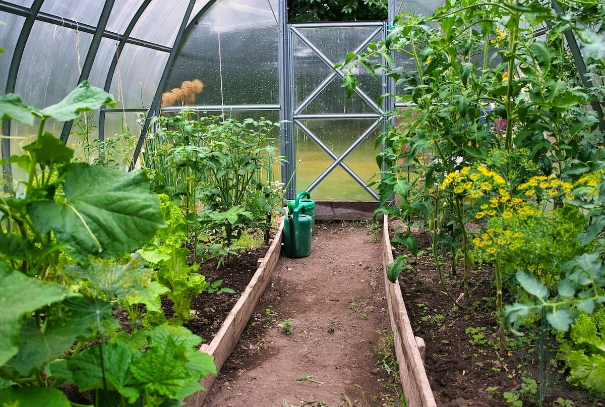 Gardening
